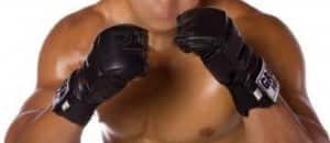 Fighter's Stance