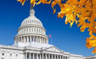 What the DC Gun Ruling Means for You