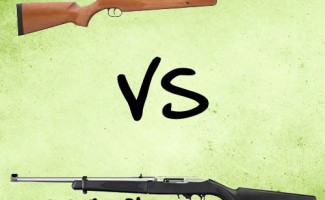 Survival Gun: Air Rifle versus .22 Rifle