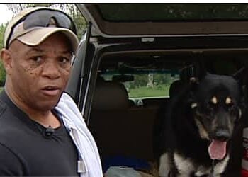 Man Attacked by Pit Bulls Defends Himself With Concealed Handgun