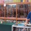 Walmart Goes Back to the Future with Fabrics, Fishing and Firearms Walmart Goes Back to the Future with Fabrics, Fishing and Firearms