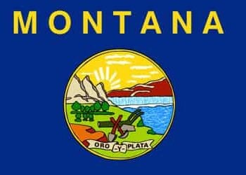 Montana Tea Party Group Plans to Sue Helena Over Gun Ordinance
