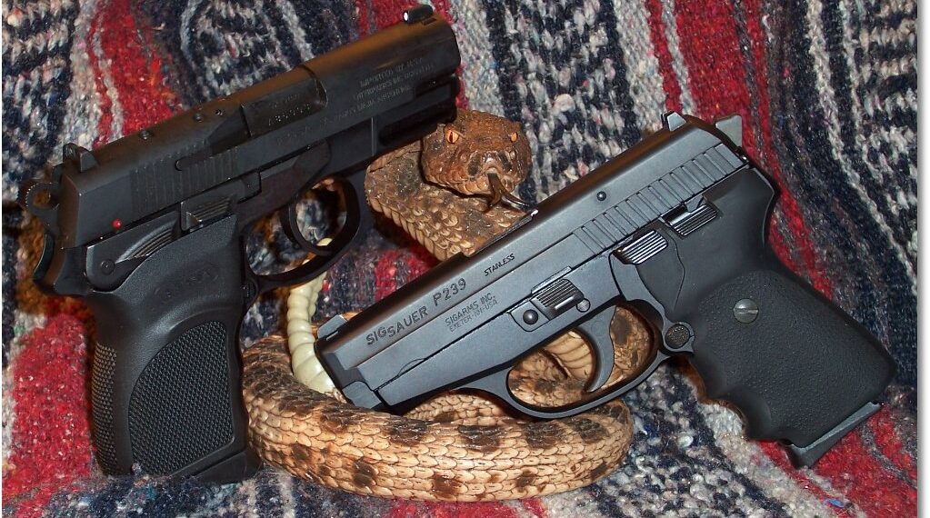 SIG P239 vs. Bersa Thunder 9UC Pro