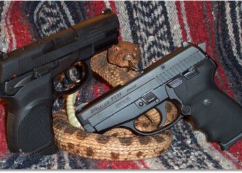 SIG P239 vs. Bersa Thunder 9UC Pro