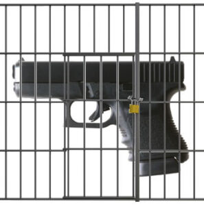 WI: Aldi Customer Who Shot Robbery Suspect Sues to get Gun Back WI: Aldi Customer Who Shot Robbery Suspect Sues to get Gun Back