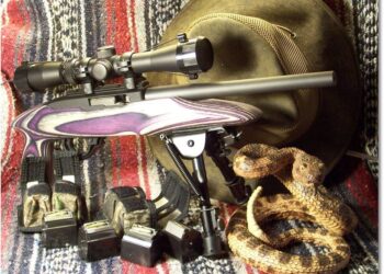 The Ruger 22 Charger – Don’t Dodge This One!