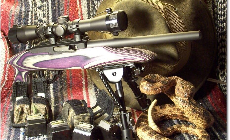 The Ruger 22 Charger – Don’t Dodge This One!
