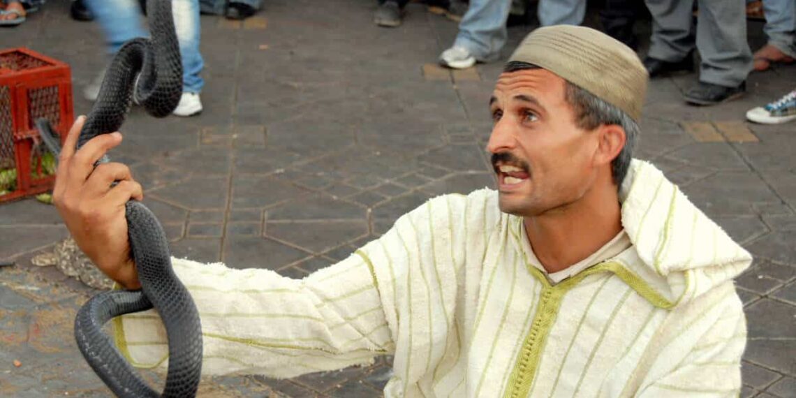 Snake Charmers and Guns