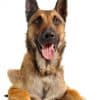 The Best Home Alarm System Money Can Buy The Best Home Alarm System Money Can Buy