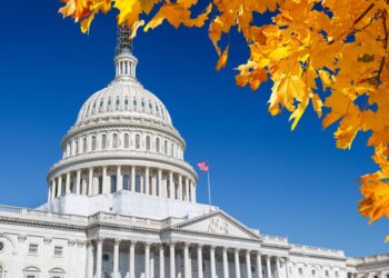 What the DC Gun Ruling Means for You