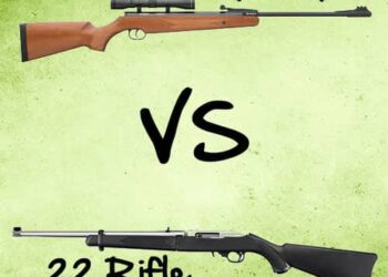 Survival Gun: Air Rifle versus .22 Rifle