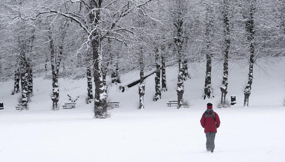 Carrying in the Cold in Jackson Hole