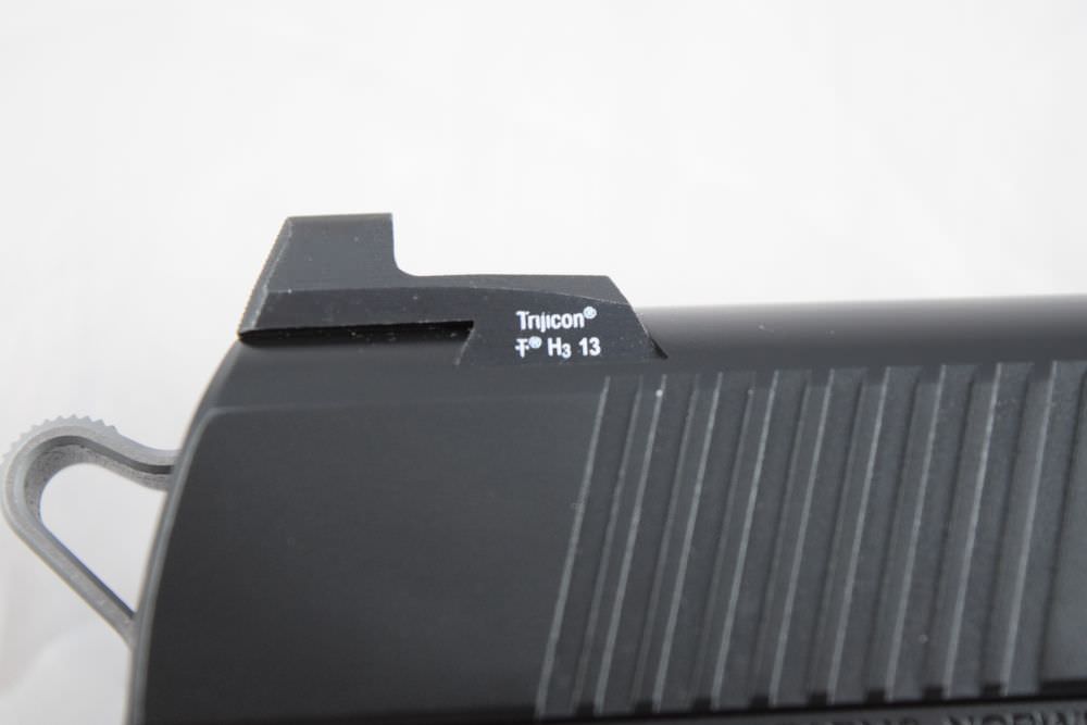 Dan Wesson Valor 1911 Rear Sights