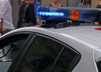 Concealed Carrier Fires Shots at Fleeing Home Depot Shoplifter