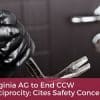 CCW Permit Holder Foils Burglary Attempt CCW Permit Holder Foils Burglary Attempt