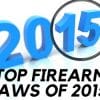A Year in Review: Top Firearms Laws of 2015 A Year in Review: Top Firearms Laws of 2015