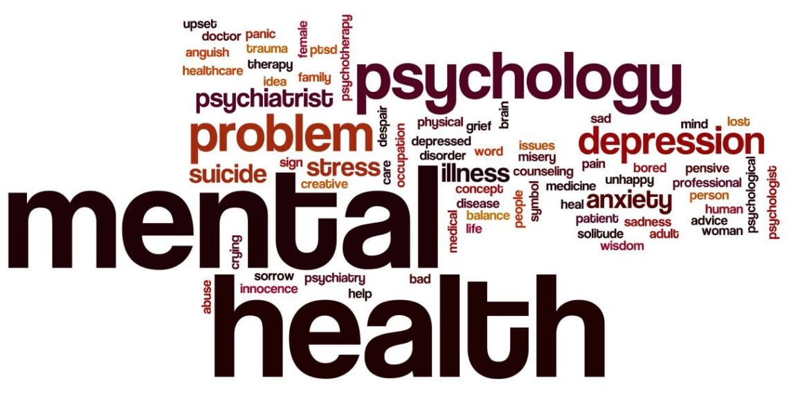Mental Illness and Gun Ownership: Some Thoughts