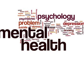 Mental Illness and Gun Ownership: Some Thoughts