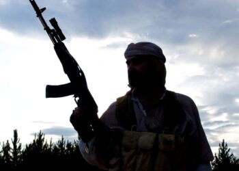 Terrorism and Concealed Carry: Some Thoughts