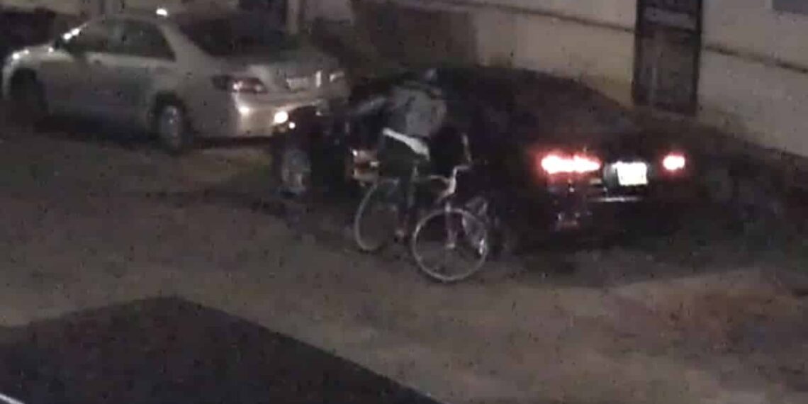 AR-15 and 500 Rounds Stolen from Car in New Orleans