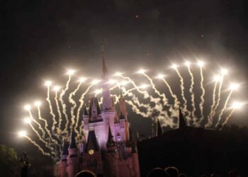 Self Defense in Disney World - How to Stay Safe in the Happiest Place on Earth