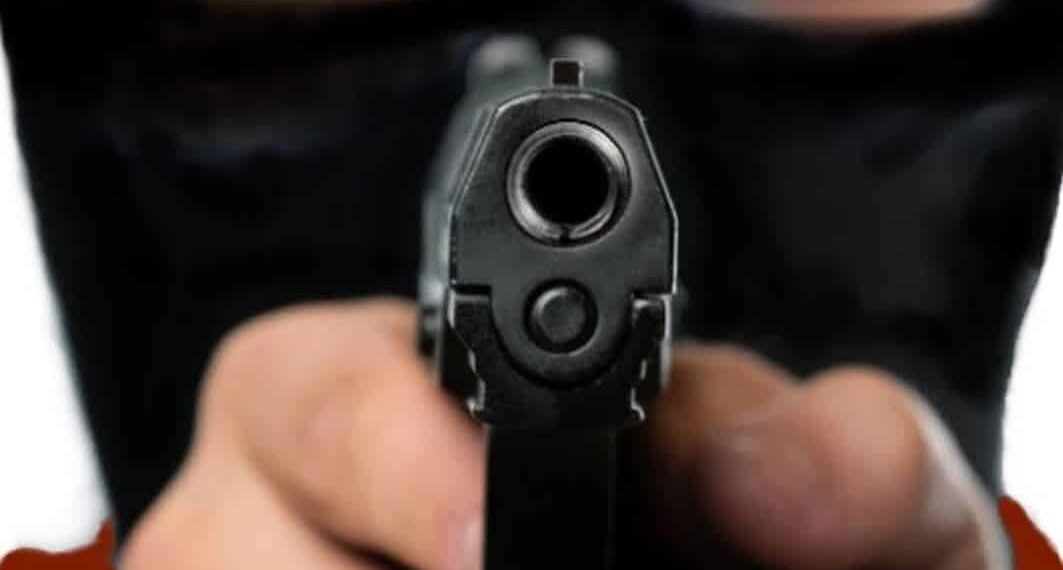 The Criminal Mind: Understanding and Dealing with Violent Criminals