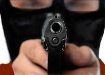The Criminal Mind: Understanding and Dealing with Violent Criminals
