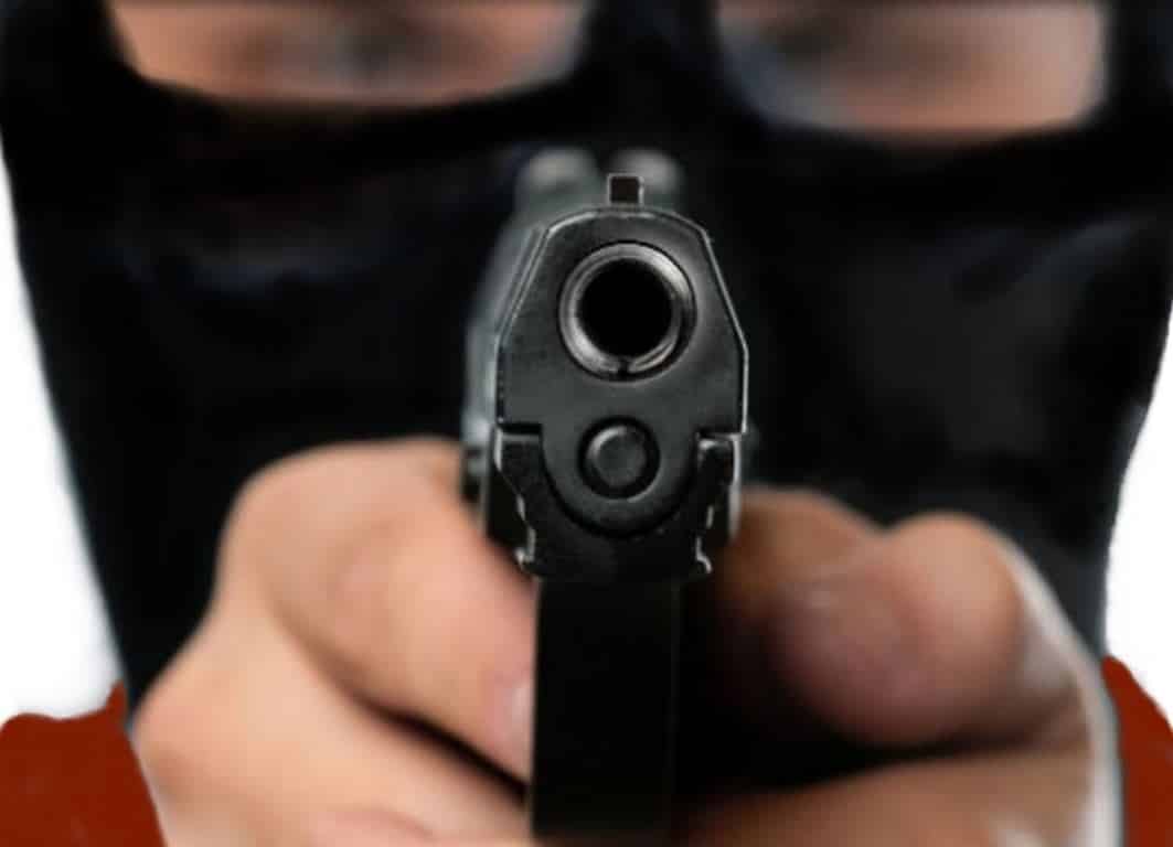 The Criminal Mind: Understanding and Dealing with Violent Criminals