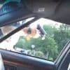 Minnesota CCW Holder Shot By Police Minnesota CCW Holder Shot By Police