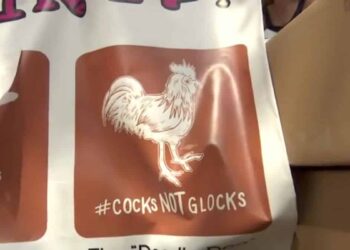 Texas Campus Carry News: Lawsuits and Sex Toys