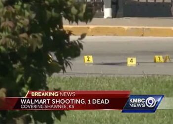 Two Men Help a Woman in Need, One of Them Was Armed