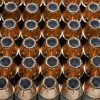 What Handgun Ammo To Use If Hollowpoints Aren’t Available