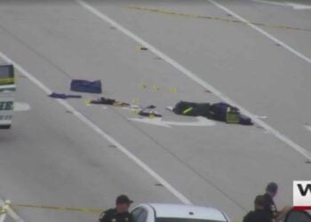 Florida Concealed Carrier Shoots a Criminal Off Deputy in Need