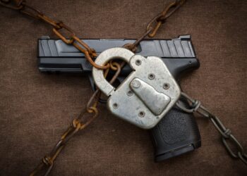 2A Rights Being Quietly Stripped from US Citizens
