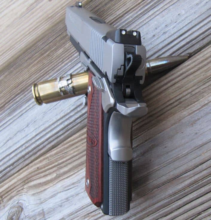 Sig Sauer 1911 C3 .45- Rear View
