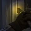Preventing A Home Invasion Preventing A Home Invasion
