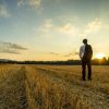 The Future of the Firearms Business The Future of the Firearms Business