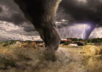 Firearms, Self-Defense, and Natural Disaster