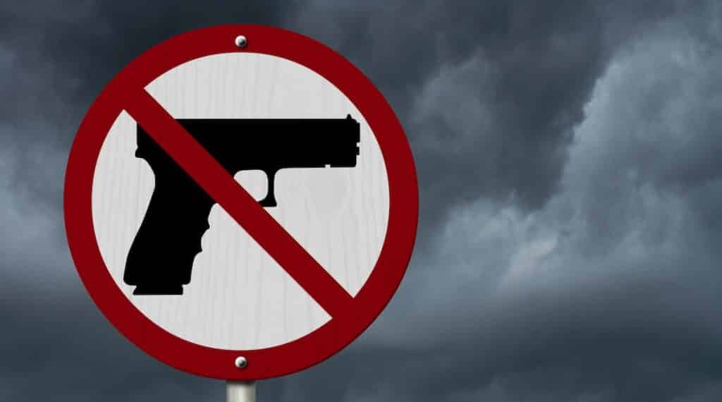 Guns in Schools: What are the Laws?