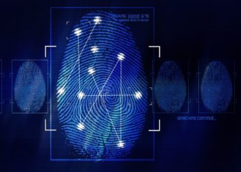 Florida Did Run Background Checks on Concealed Carry Applications