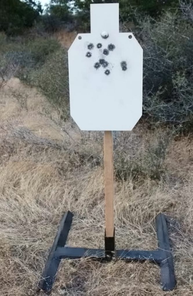 Rogue Steel AR500 Steel Silhouette Target and Stand
