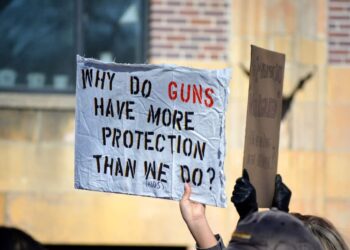 Defending the Second Amendment: An Action Plan