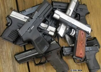Gun Ownership, Violence, Mental Health & Inherited Traits