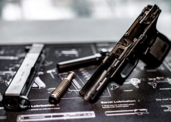 Can you Fix Your Gun? An Argument for Popular Firearm Platforms