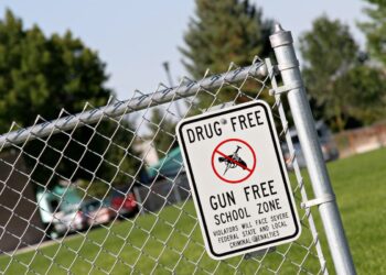 Constitutional Carry States’ Rights Act Introduced to Close Loophole