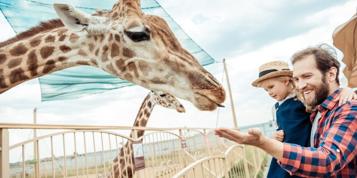 OK Governor Signs Bill Allowing Concealed Carry In Zoos and Parks