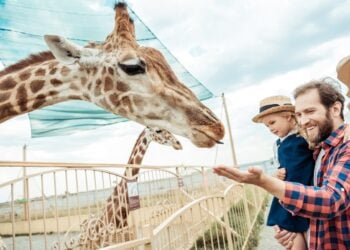OK Governor Signs Bill Allowing Concealed Carry In Zoos and Parks