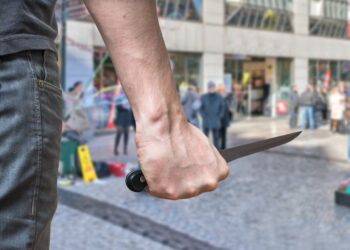 Individual Defense Mechanisms & A Decision-Making Tool for Self-Defense
