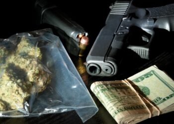 Gun Ownership and Marijuana Use and Laws
