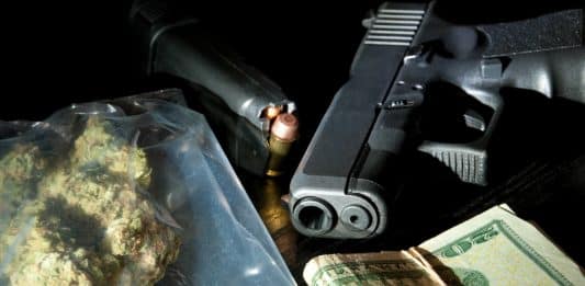 Gun Ownership and Marijuana Use and Laws